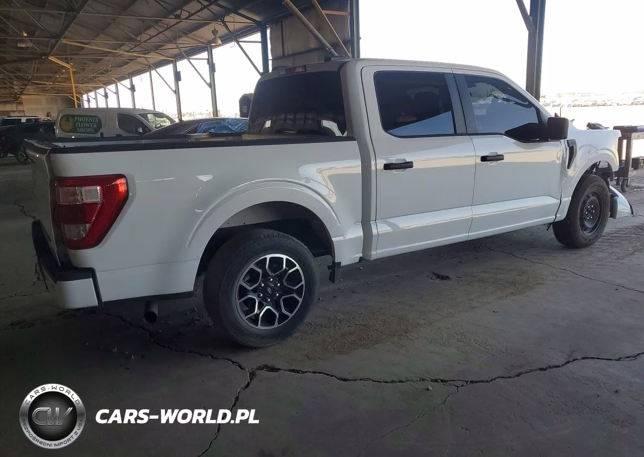 2023 Ford F150 Supercrew VIN:1FTEW1CP3PKD63703 - 3
