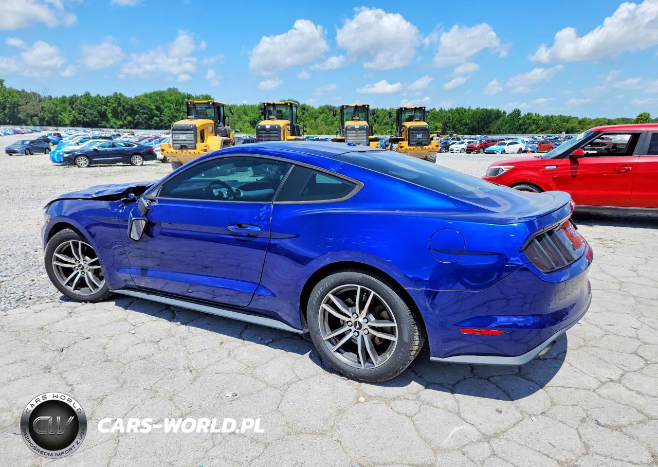 2016 Ford Mustang VIN:1FA6P8TH9G5318434 - 2