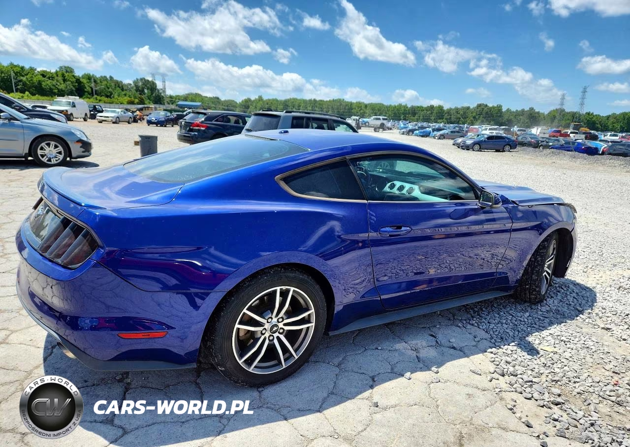 2016 Ford Mustang VIN:1FA6P8TH9G5318434 - 3