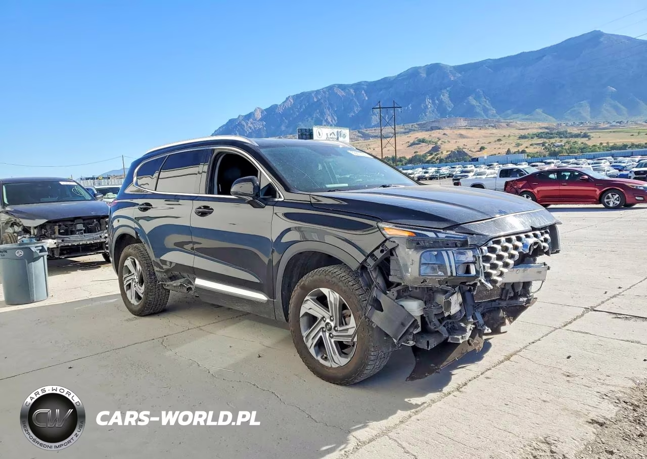 2022 Hyundai Santa Fe Sel VIN:5NMS2DAJXNH417697 - 4