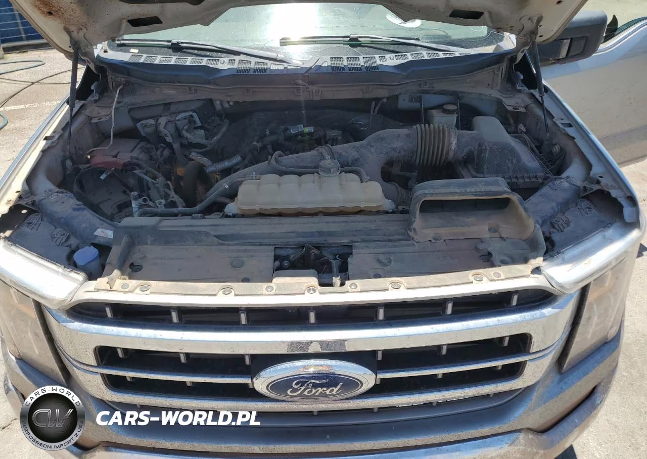 2023 Ford F150 Supercrew VIN:1FTEW1CP1PKD61318 - 11