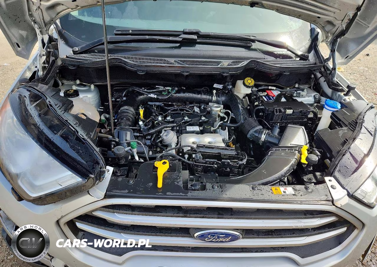 2021 Ford Ecosport Se VIN:MAJ3S2GE4MC423887 - 12