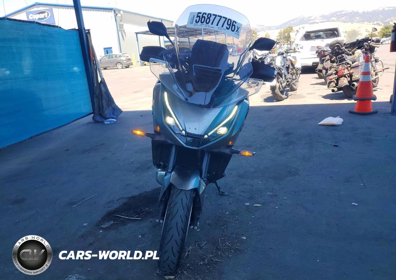 2026 Honda Nt1100 D VIN:JH2SC9041TK100129 - 2