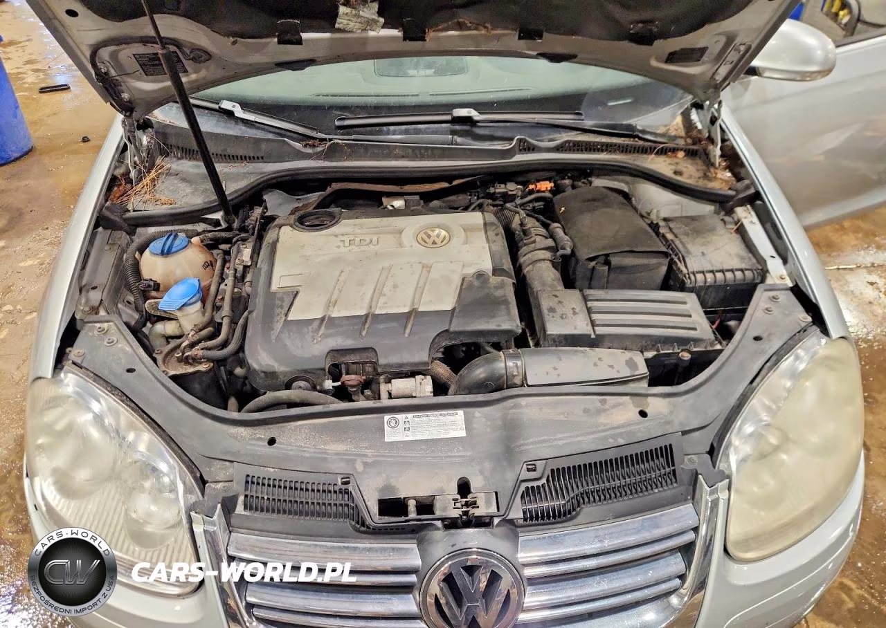 2009 Volkswagen Jetta Tdi VIN:3VWAL81K49M141641 - 11