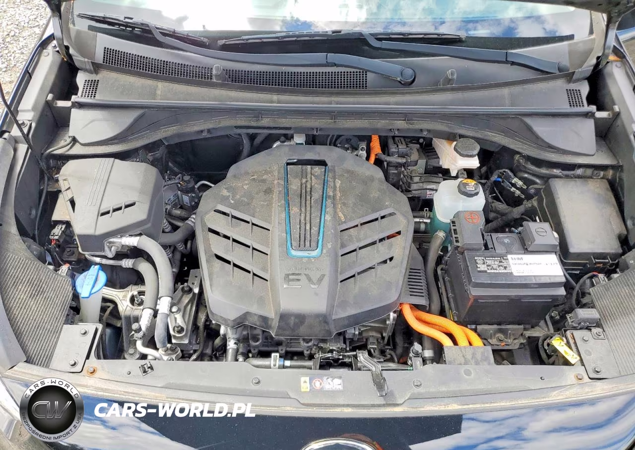 2019 Kia Niro Ex VIN:KNDCC3LGXK5008126 - 12