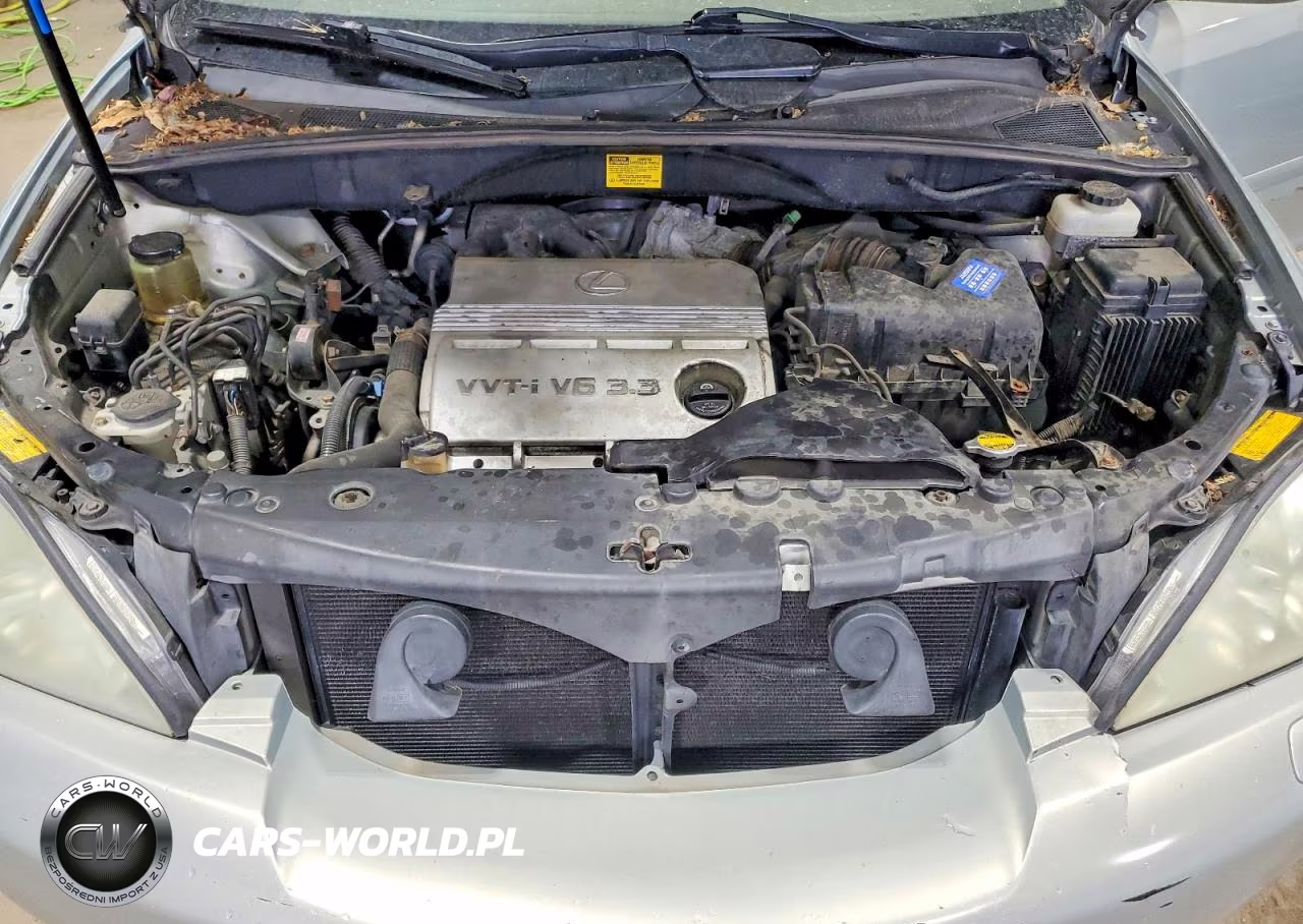 2004 Lexus Rx 330 VIN:JTJHA31UX40040432 - 12