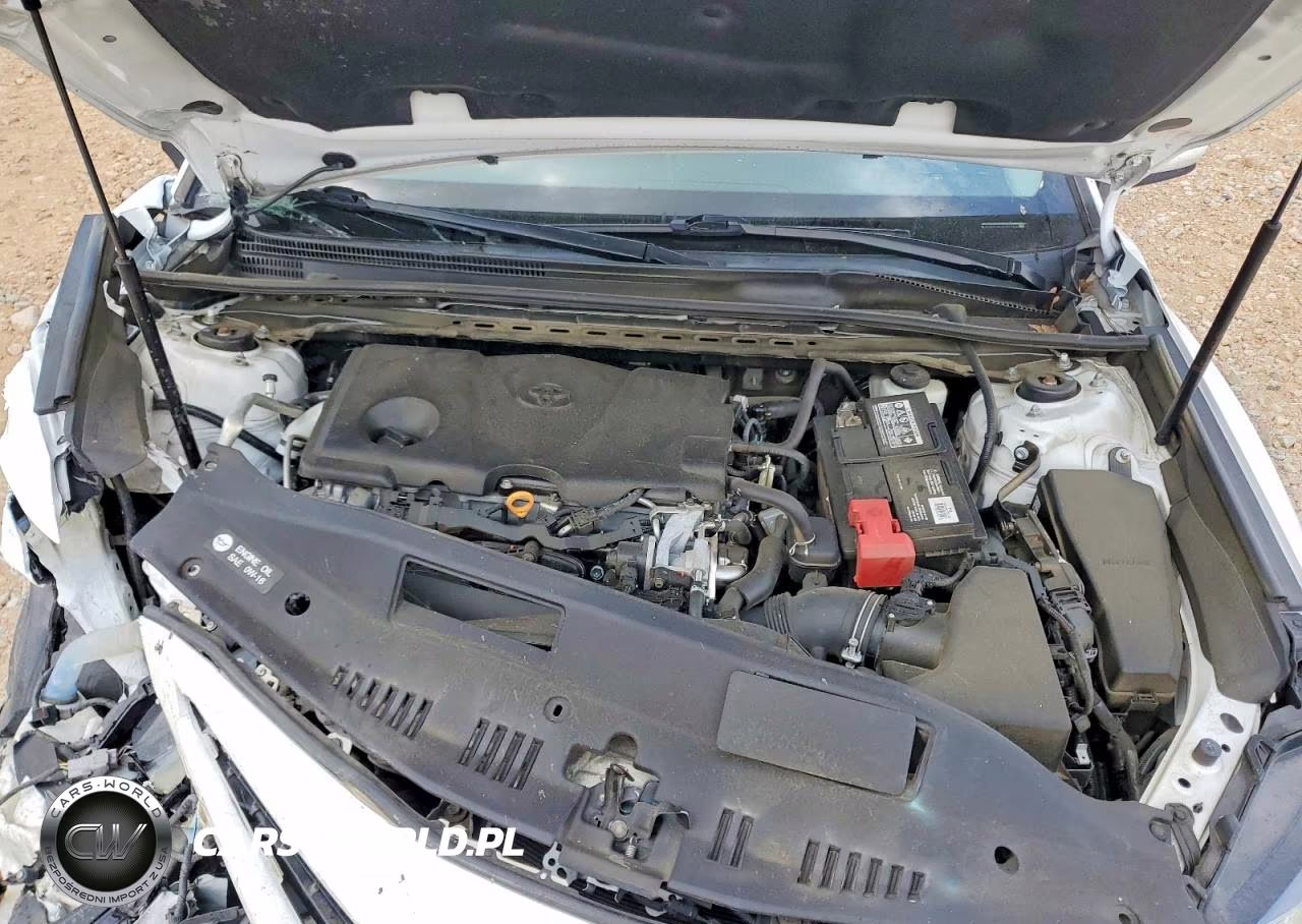 2019 Toyota Camry Se VIN:4T1B11HKXKU787838 - 11