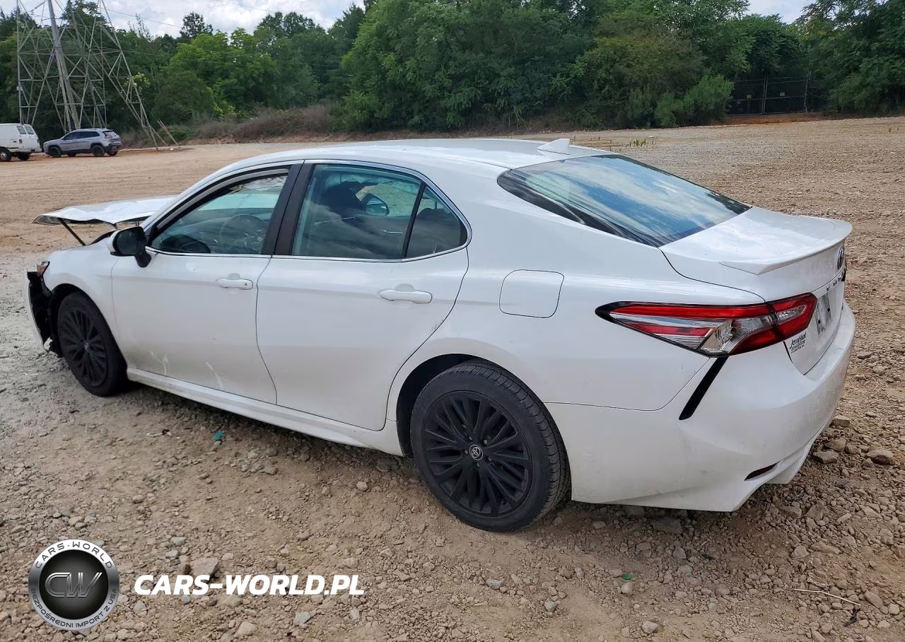 2019 Toyota Camry Se VIN:4T1B11HKXKU787838 - 2
