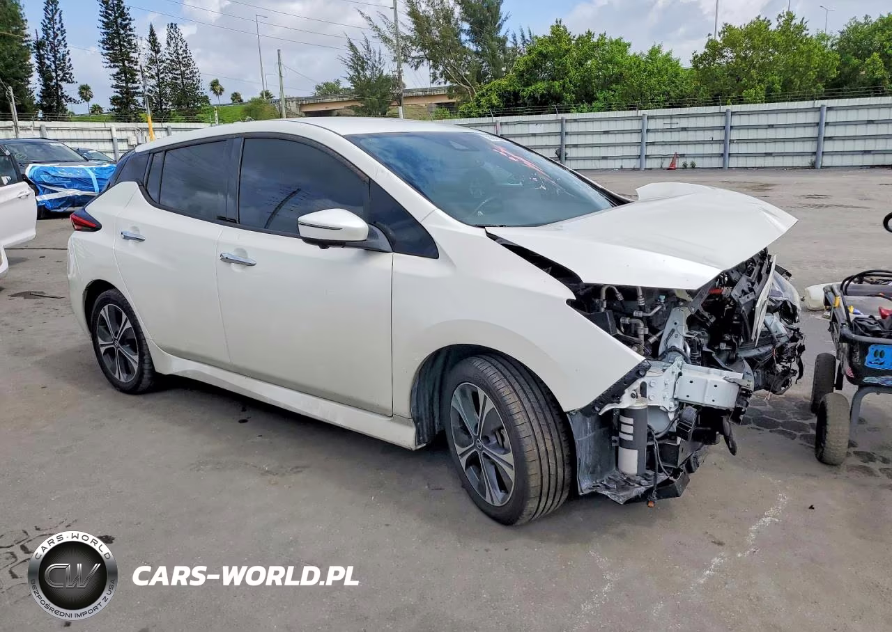 2020 Nissan Leaf Sl Plus VIN:1N4BZ1DP8LC307078 - 4