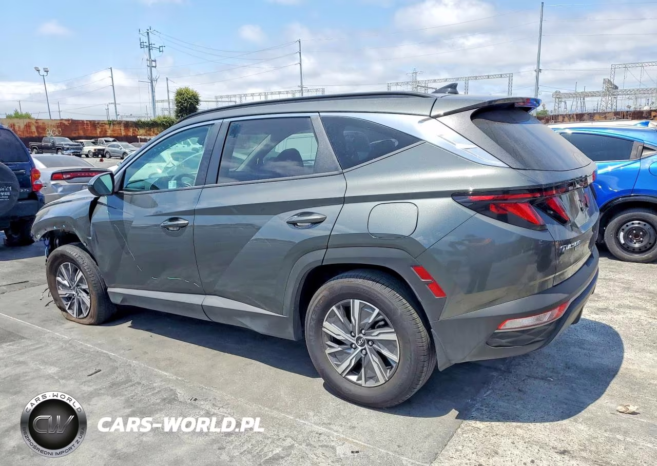2024 Hyundai Tucson Blue VIN:KM8JBCD15RU202787 - 2