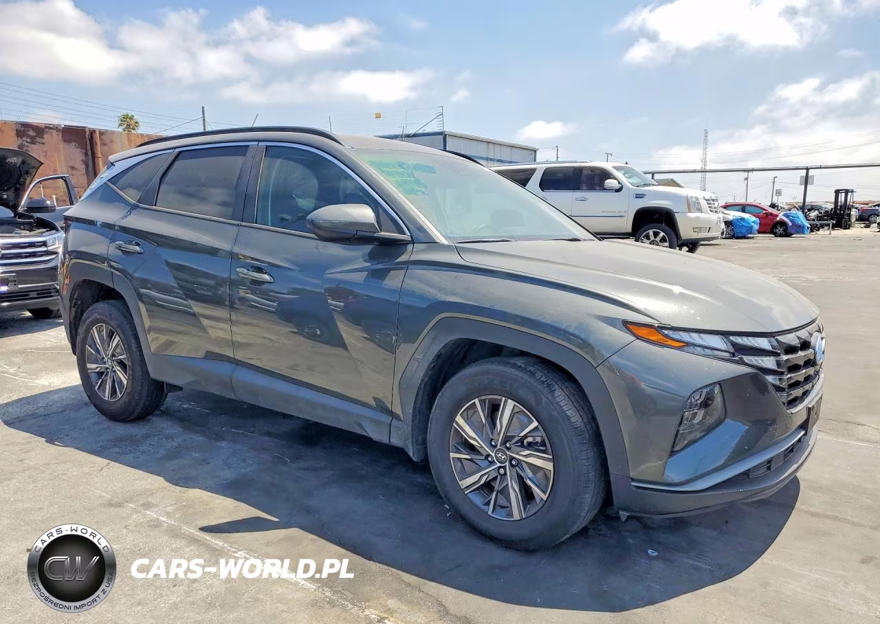 2024 Hyundai Tucson Blue VIN:KM8JBCD15RU202787 - 4