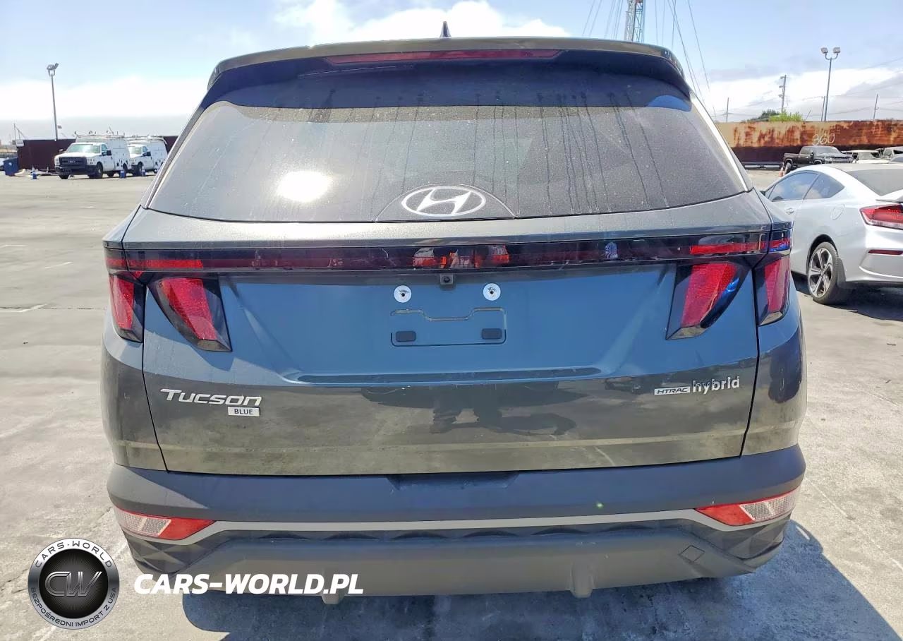 2024 Hyundai Tucson Blue VIN:KM8JBCD15RU202787 - 6