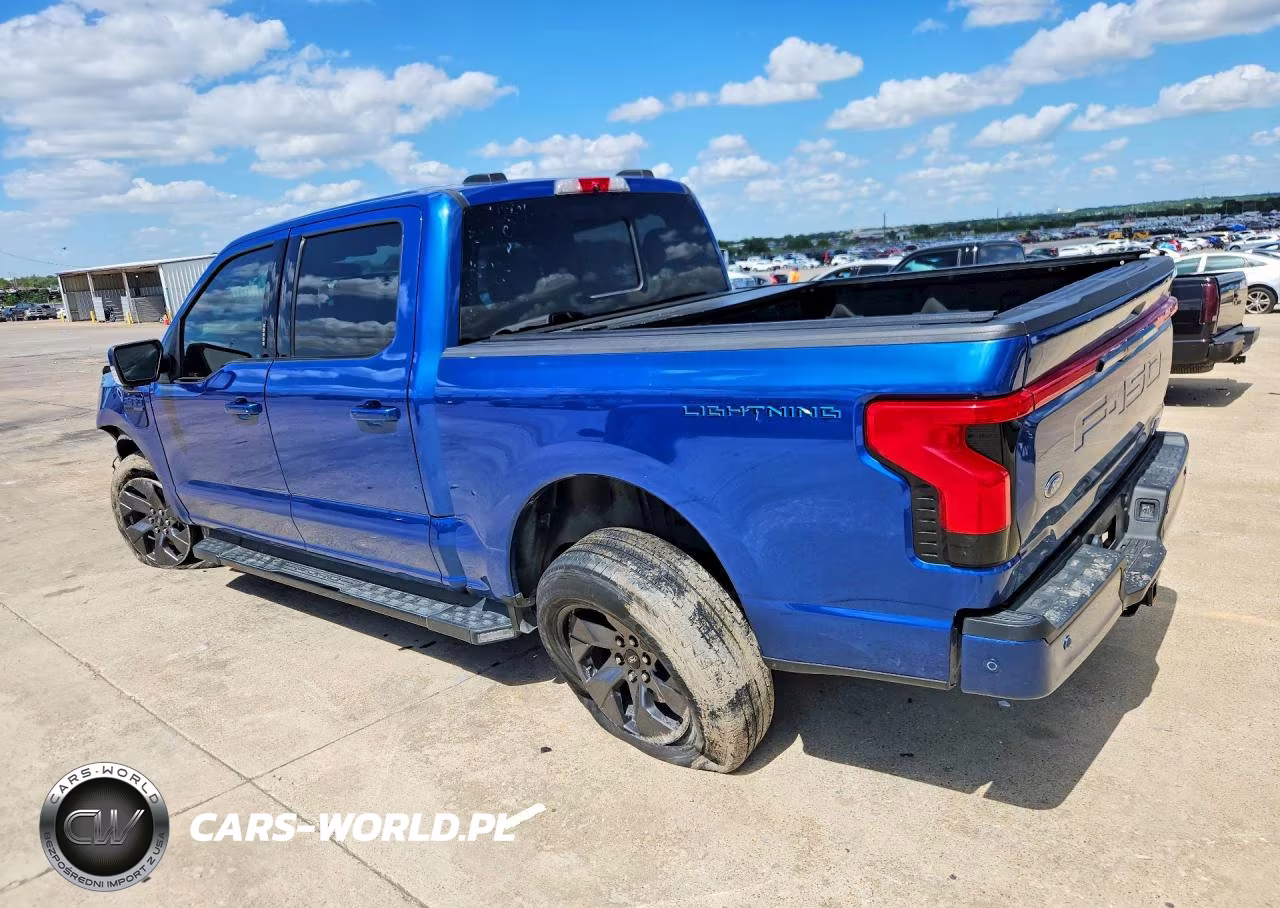 2022 Ford F150 Lightning Pro VIN:1FT6W1EV4NWG13925 - 2
