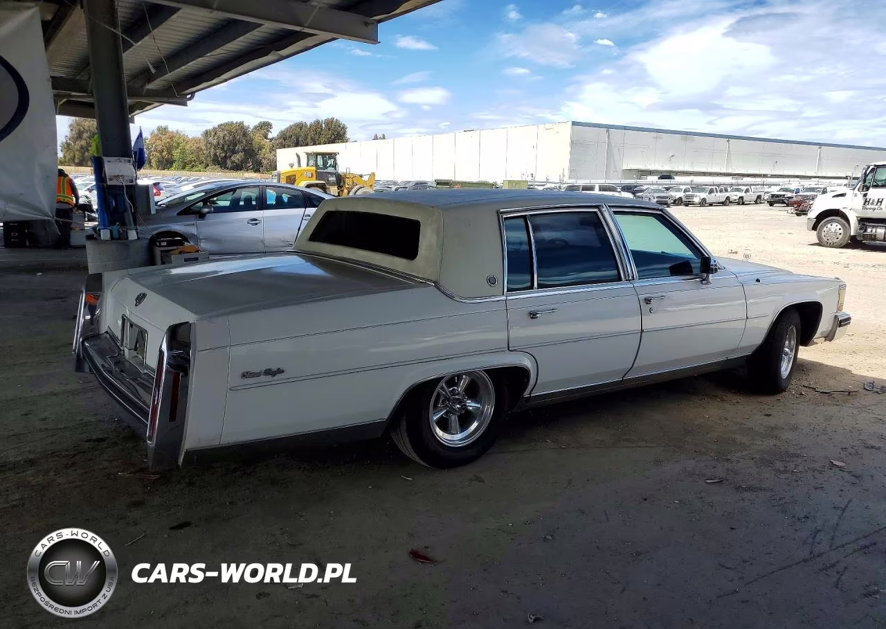 1984 Cadillac Fleetwood Brougham VIN:1G6AW6988E9064193 - 3
