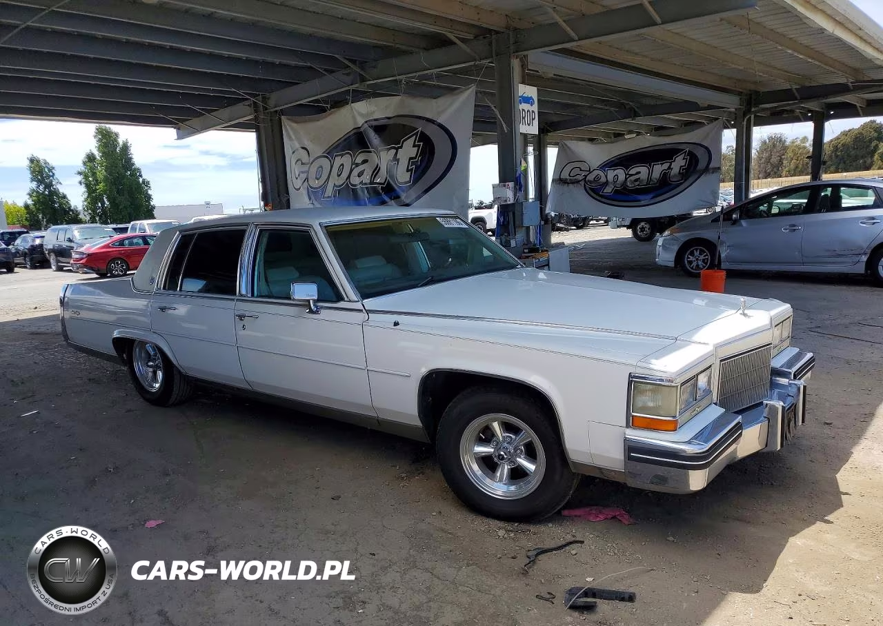 1984 Cadillac Fleetwood Brougham VIN:1G6AW6988E9064193 - 4
