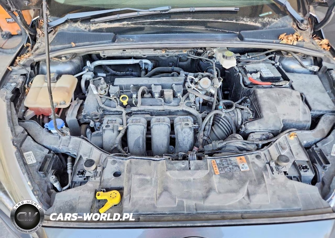 2018 Ford Focus Se VIN:1FADP3K22JL305907 - 11
