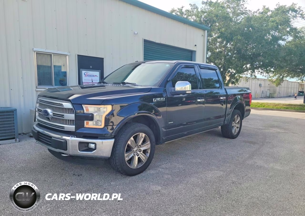 2016 Ford F150 Supercrew VIN:1FTEW1EG0GFA78690 - 2