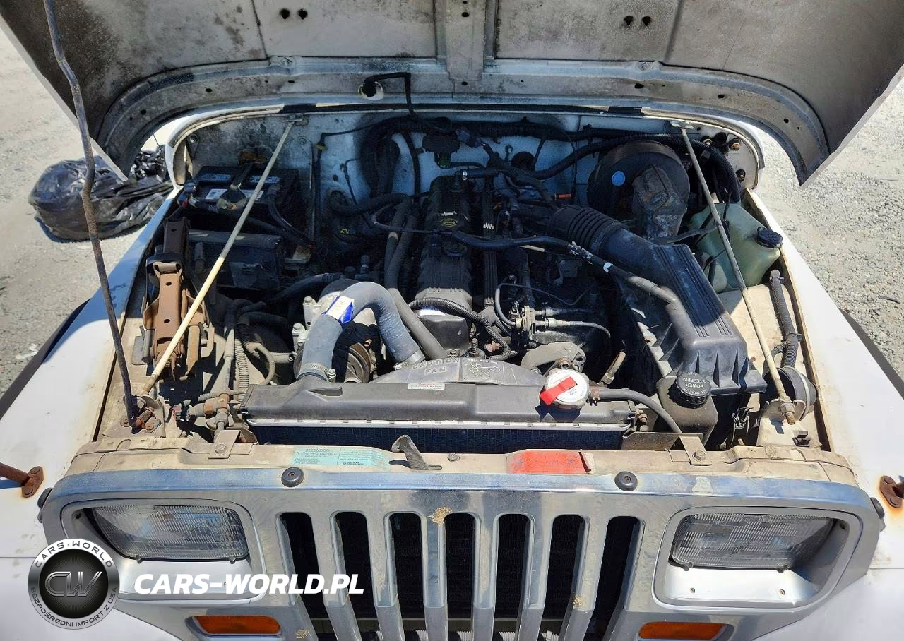 1994 Jeep Wrangler - Yj Se VIN:1J4FY29S6RP446106 - 12