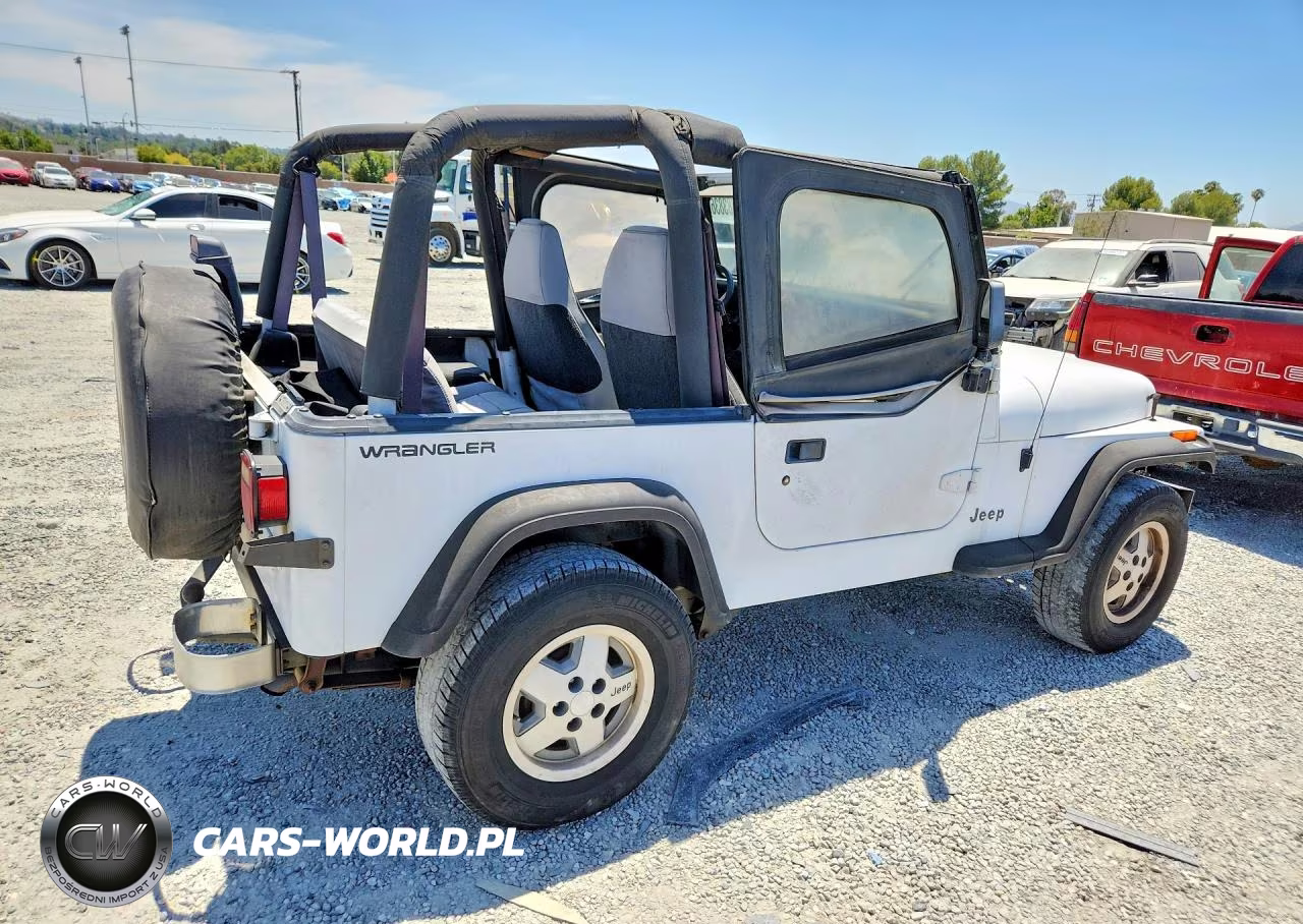 1994 Jeep Wrangler - Yj Se VIN:1J4FY29S6RP446106 - 3
