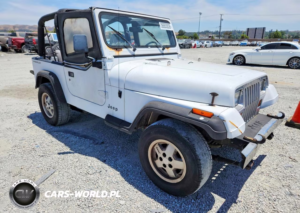 1994 Jeep Wrangler - Yj Se VIN:1J4FY29S6RP446106 - 4