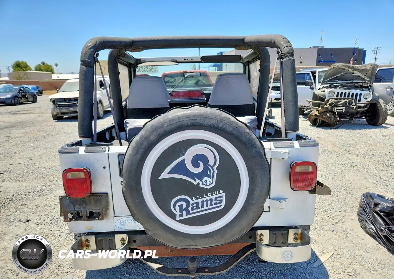 1994 Jeep Wrangler - Yj Se VIN:1J4FY29S6RP446106 - 6