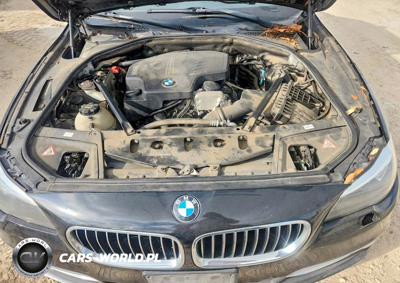 2015 BMW 528 I VIN:WBA5A5C55FD522306 - 11