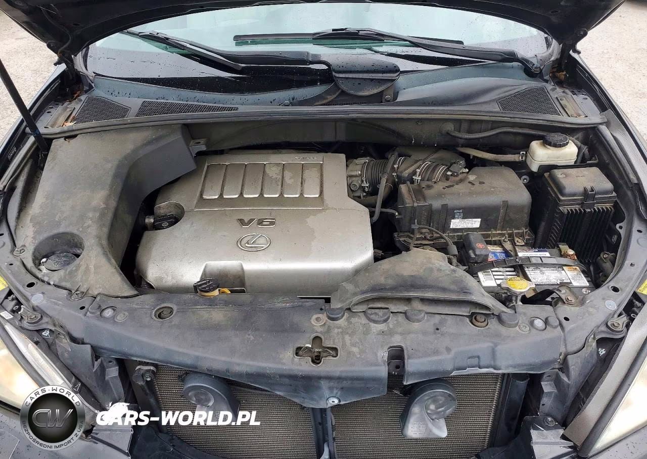 2009 Lexus Rx 350 VIN:2T2HK31UX9C105918 - 12