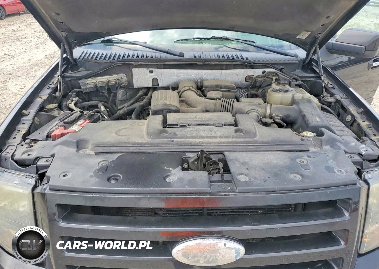 2010 Ford Expedition Limited VIN:1FMJU2A59AEA00416 - 12