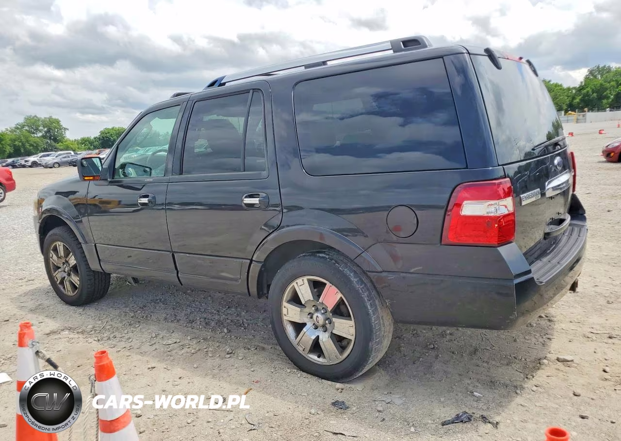 2010 Ford Expedition Limited VIN:1FMJU2A59AEA00416 - 2