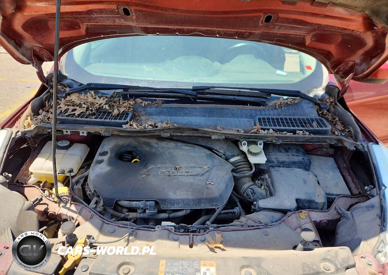 2015 Ford Escape Se VIN:1FMCU9GX3FUA18711 - 11