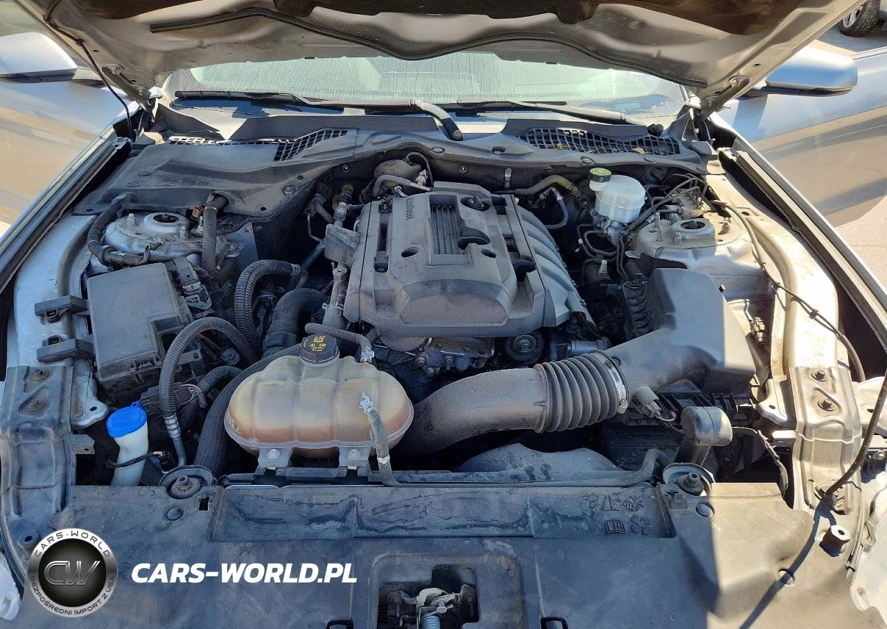 2020 Ford Mustang VIN:1FA6P8TH2L5126184 - 11