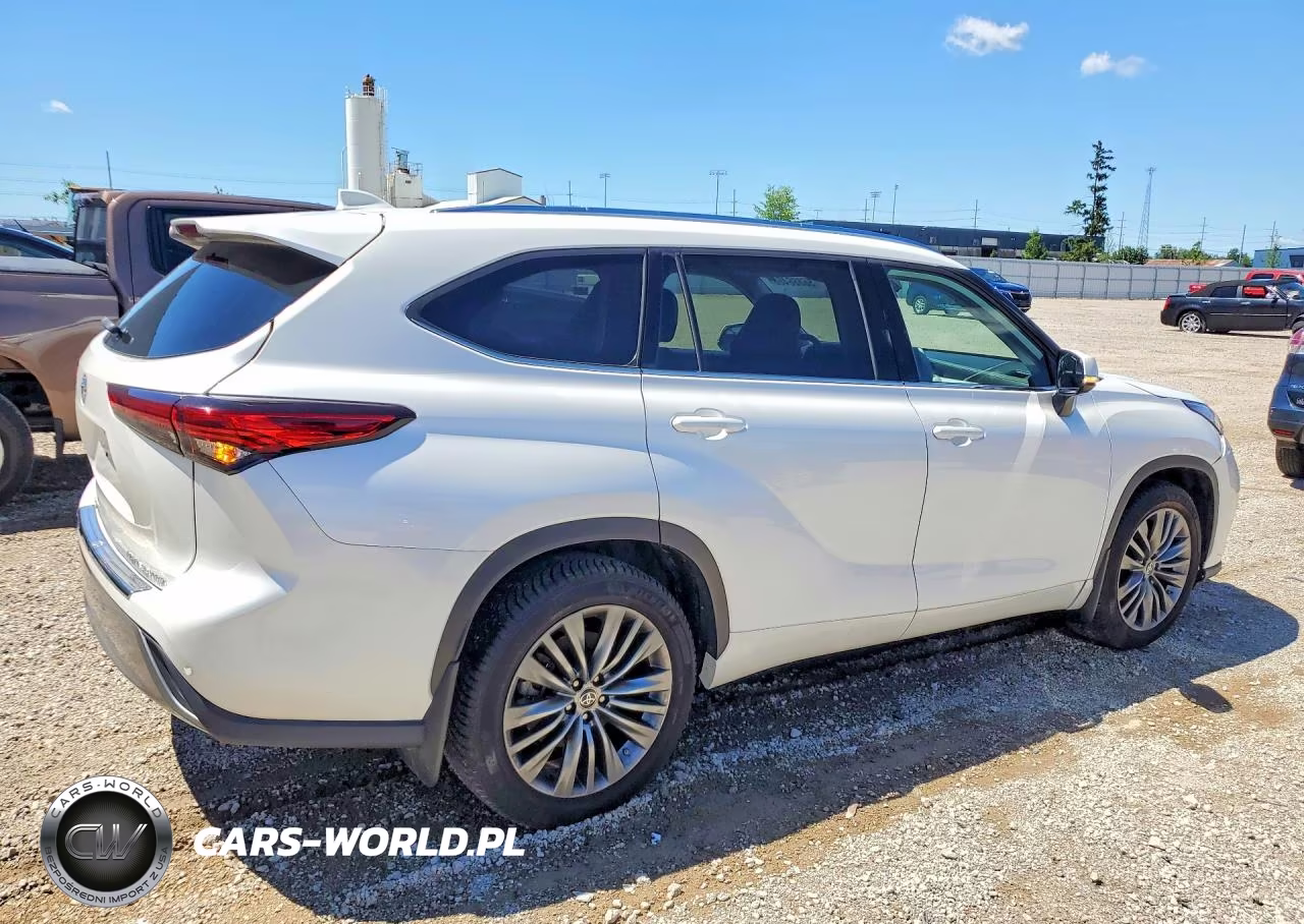 2020 Toyota Highlander Platinum VIN:5TDFZRBH3LS021577 - 3