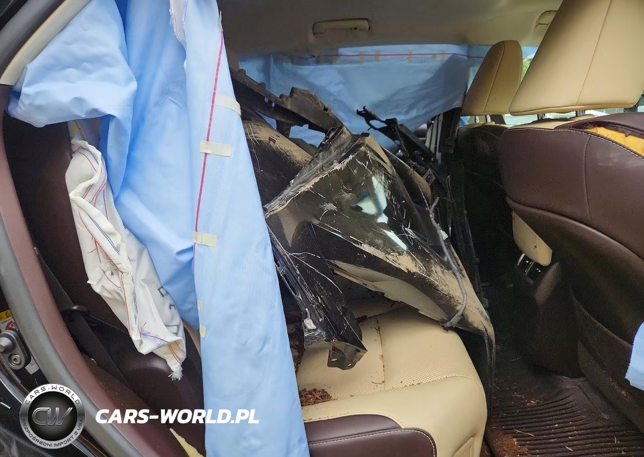 2019 Lexus Rx 350 L VIN:JTJDZKCA7K2018314 - 11