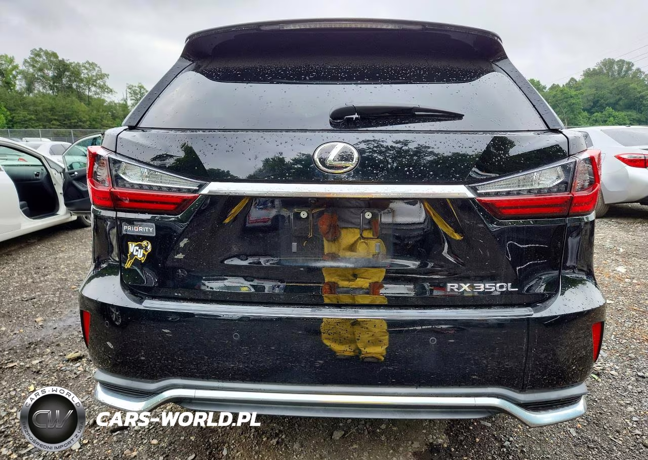 2019 Lexus Rx 350 L VIN:JTJDZKCA7K2018314 - 6