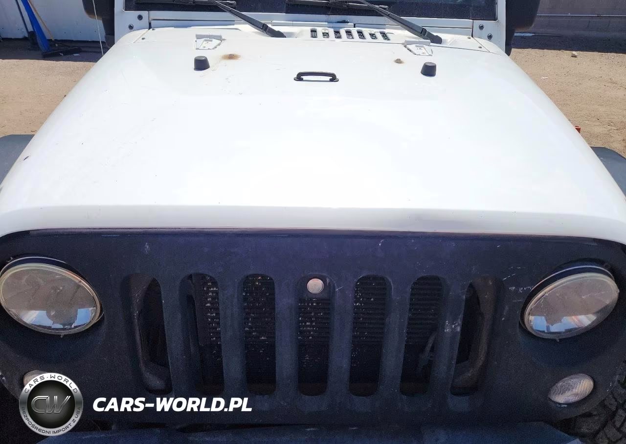 2015 Jeep Wrangler Rubicon VIN:1C4BJWCG0FL757599 - 12