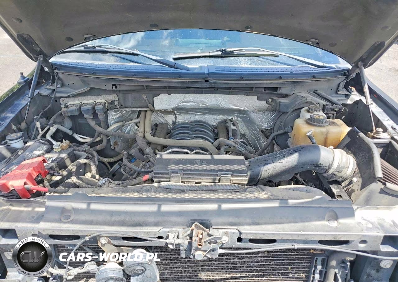 2013 Ford F150 Supercrew VIN:1FTFW1EF9DKF07243 - 11