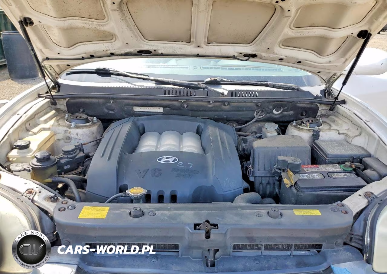2005 Hyundai Santa Fe Gls VIN:KM8SC13D25U897970 - 12