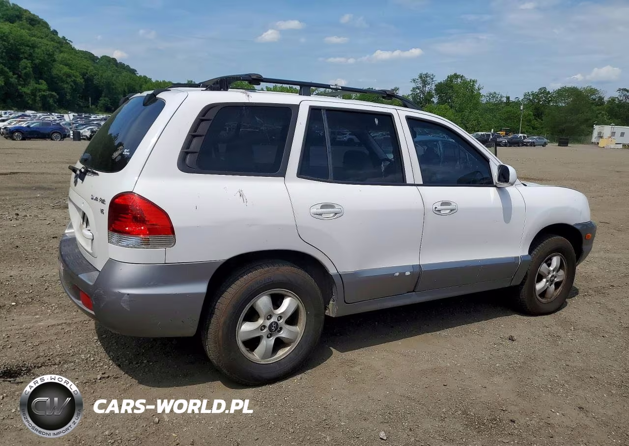 2005 Hyundai Santa Fe Gls VIN:KM8SC13D25U897970 - 3