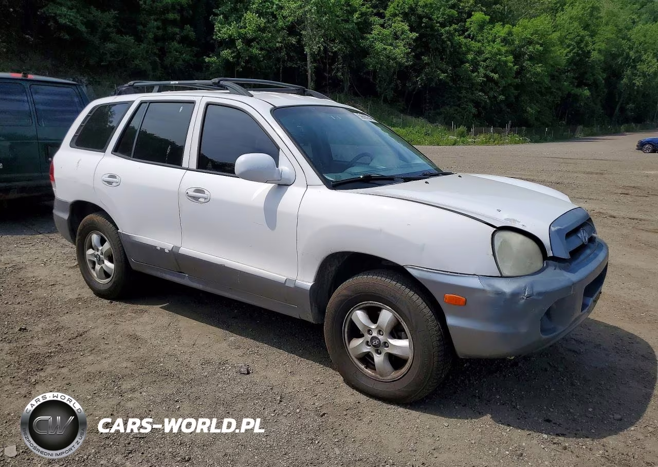 2005 Hyundai Santa Fe Gls VIN:KM8SC13D25U897970 - 4