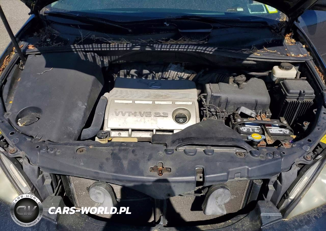 2005 Lexus Rx 330 VIN:2T2HA31U75C086922 - 12