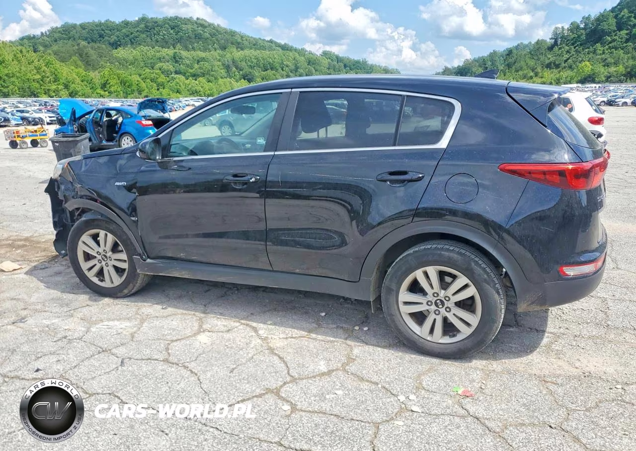 2017 Kia Sportage Lx VIN:KNDPMCAC9H7247341 - 2
