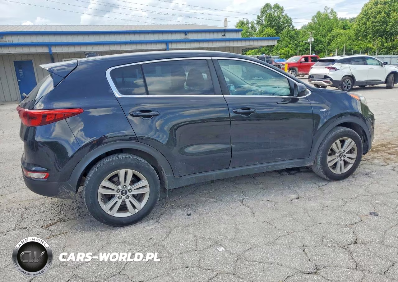 2017 Kia Sportage Lx VIN:KNDPMCAC9H7247341 - 3