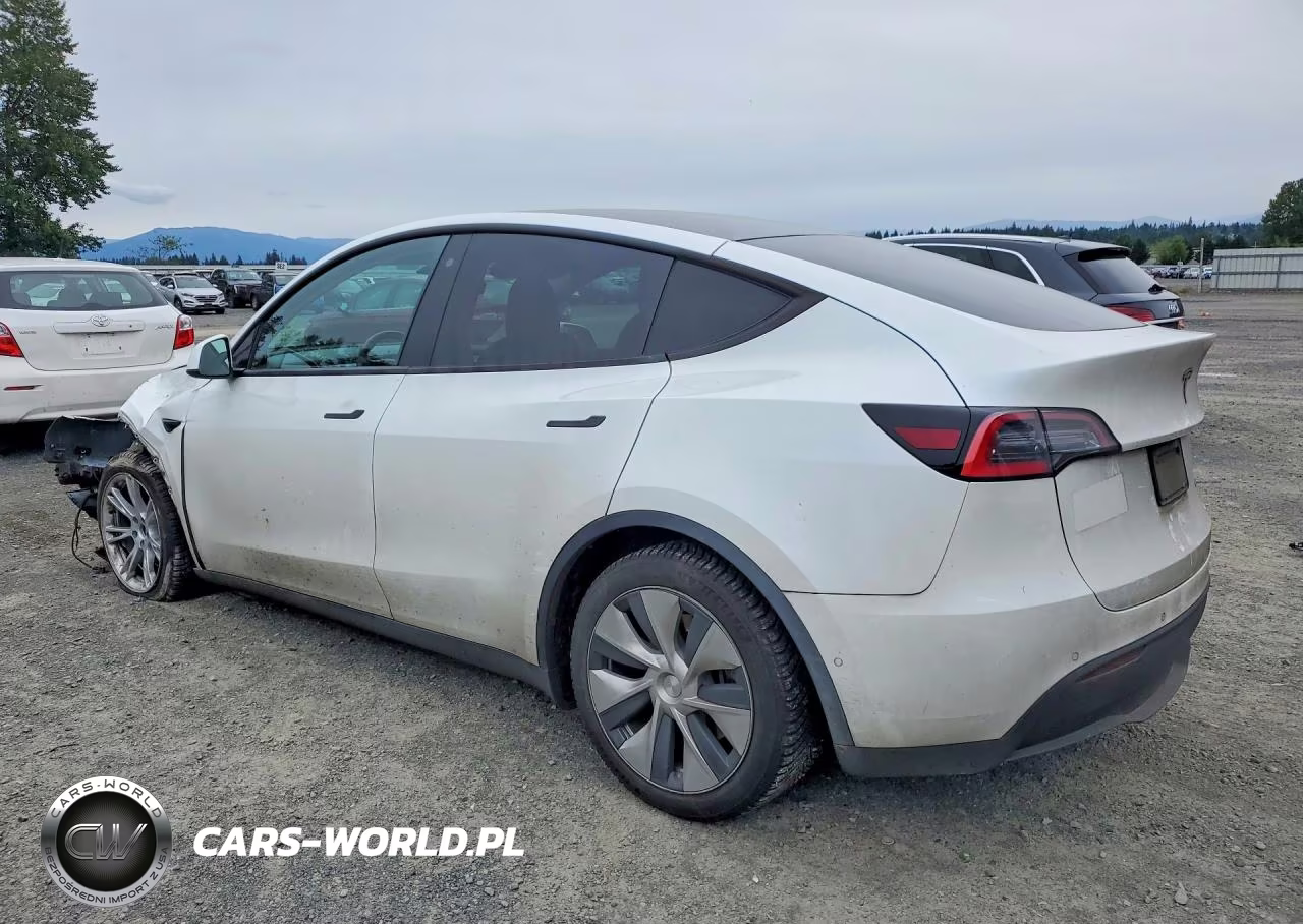 2020 Tesla Model Y VIN:5YJYGDEE3LF050729 - 2