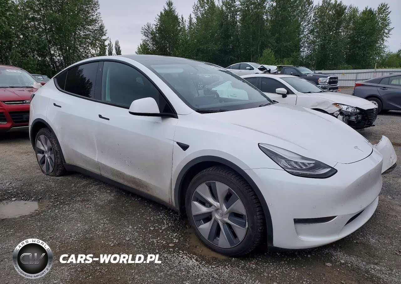 2020 Tesla Model Y VIN:5YJYGDEE3LF050729 - 4
