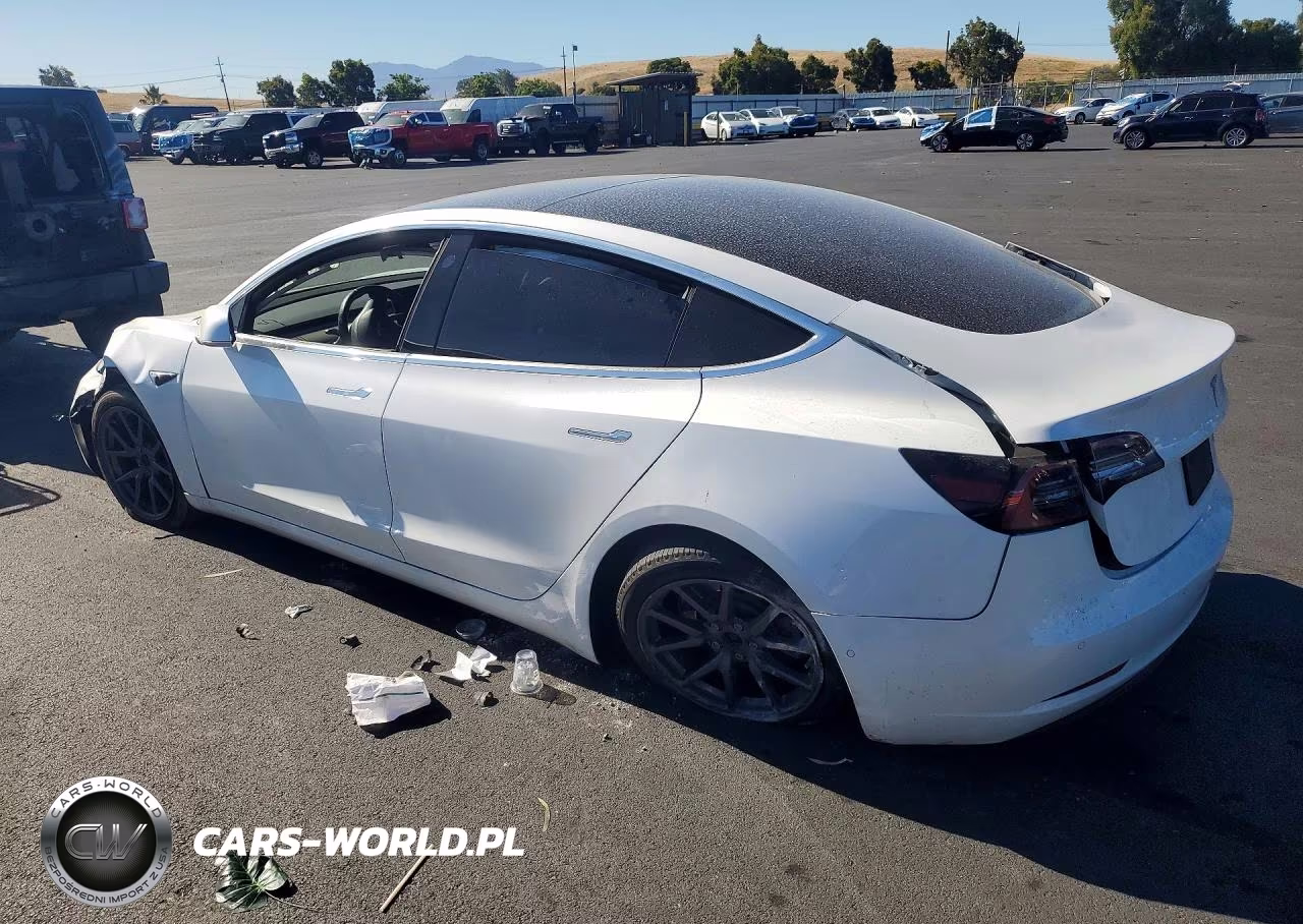 2019 Tesla Model 3 VIN:5YJ3E1EB4KF433369 - 2