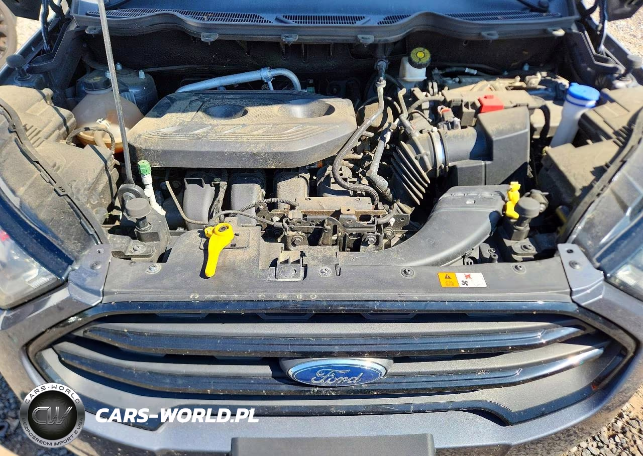 2020 Ford Ecosport Ses VIN:MAJ6S3JL5LC364390 - 12