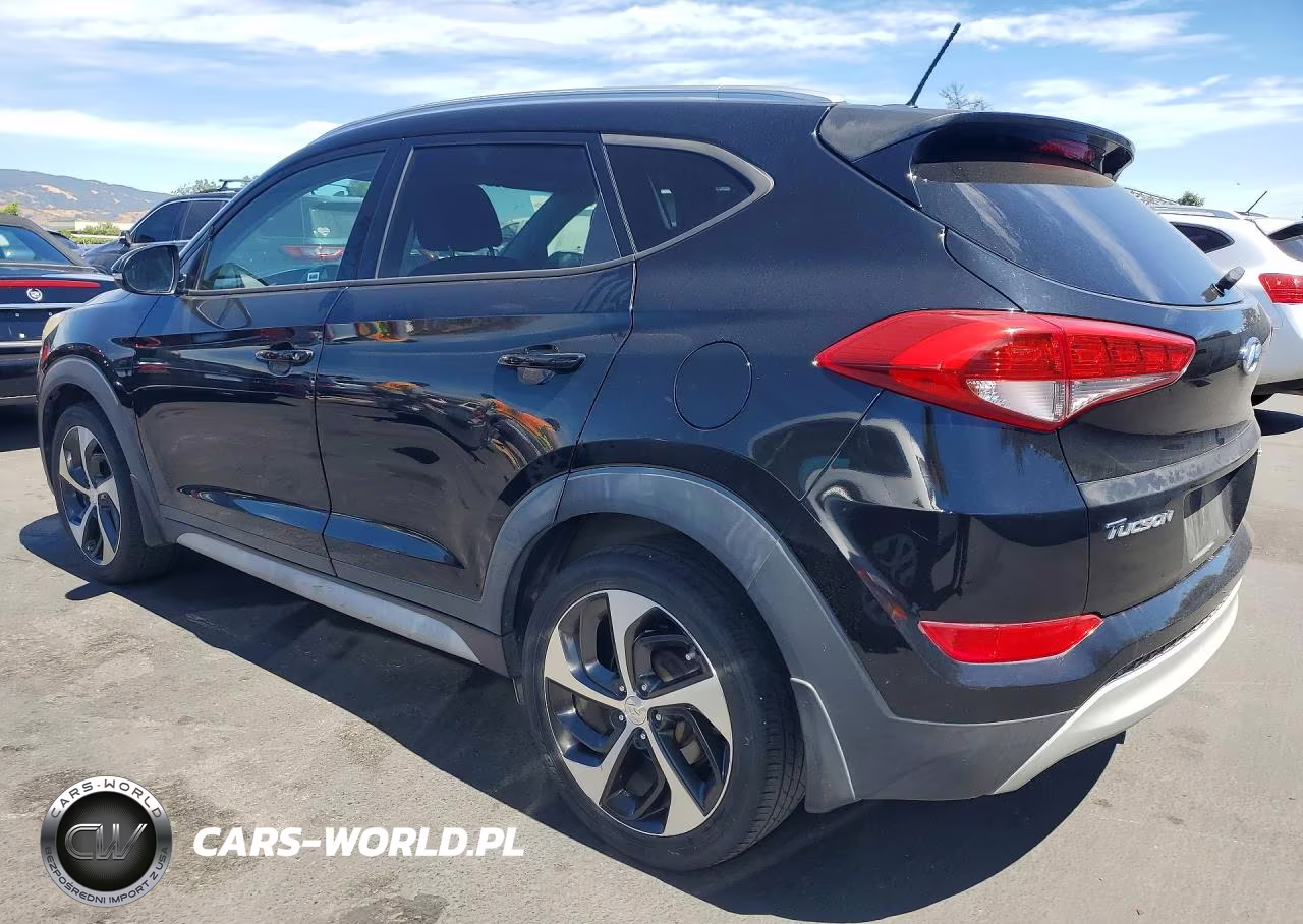 2017 Hyundai Tucson Sport VIN:KM8J33A28HU390696 - 2