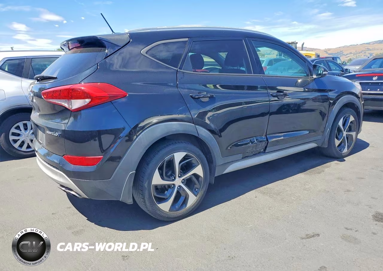 2017 Hyundai Tucson Sport VIN:KM8J33A28HU390696 - 3