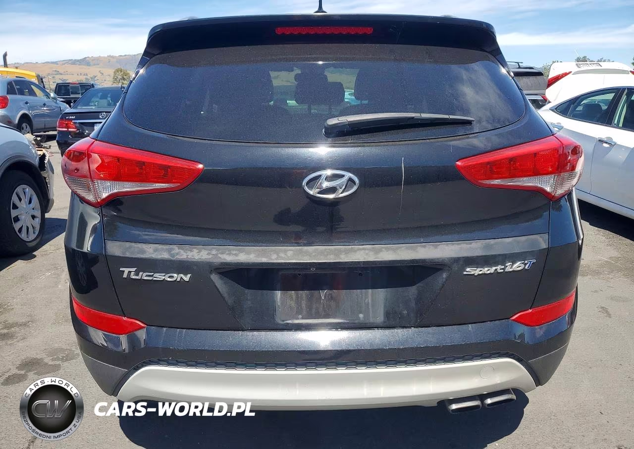 2017 Hyundai Tucson Sport VIN:KM8J33A28HU390696 - 6
