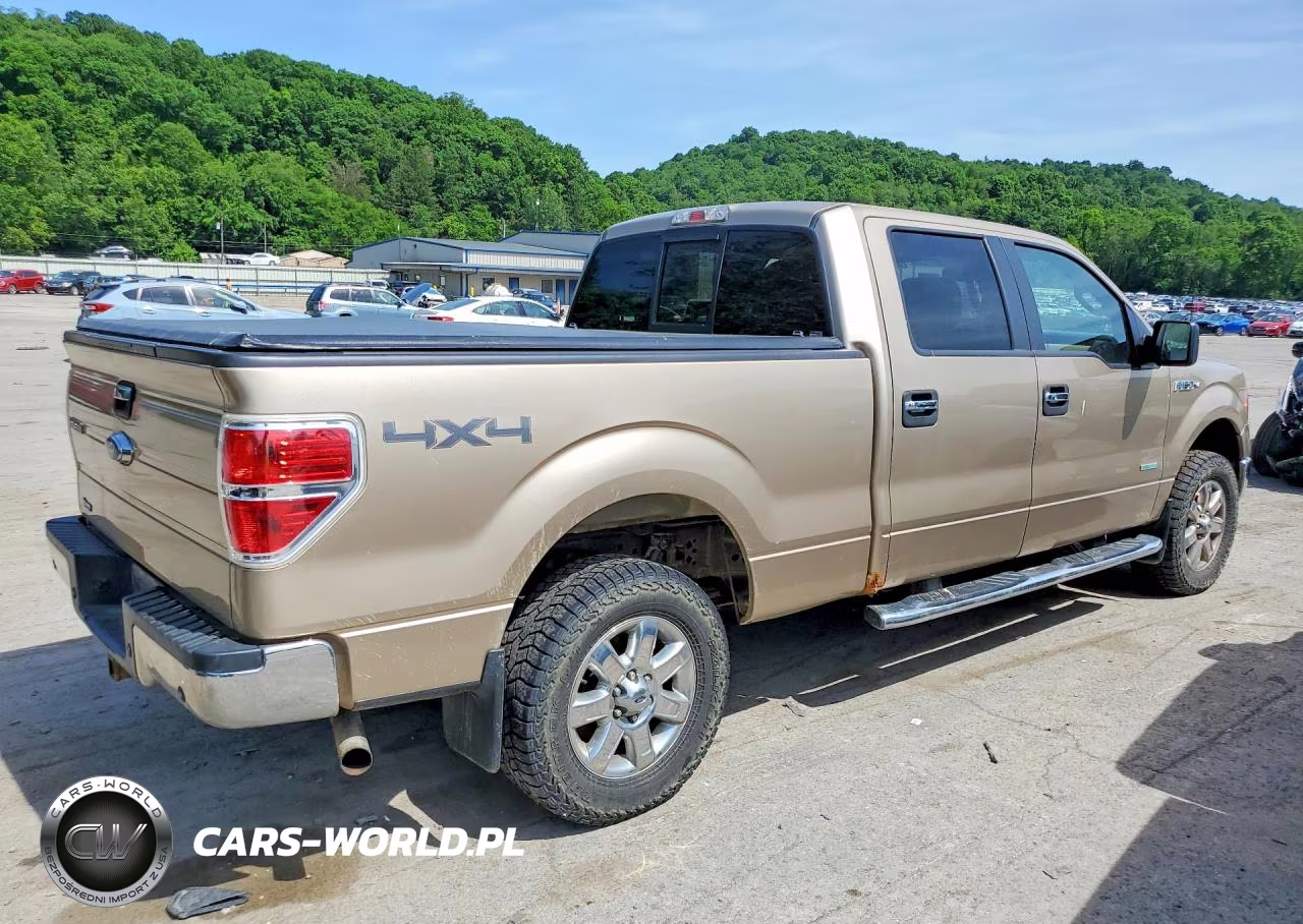 2014 Ford F150 Supercrew VIN:1FTFW1ETXEKF17593 - 3
